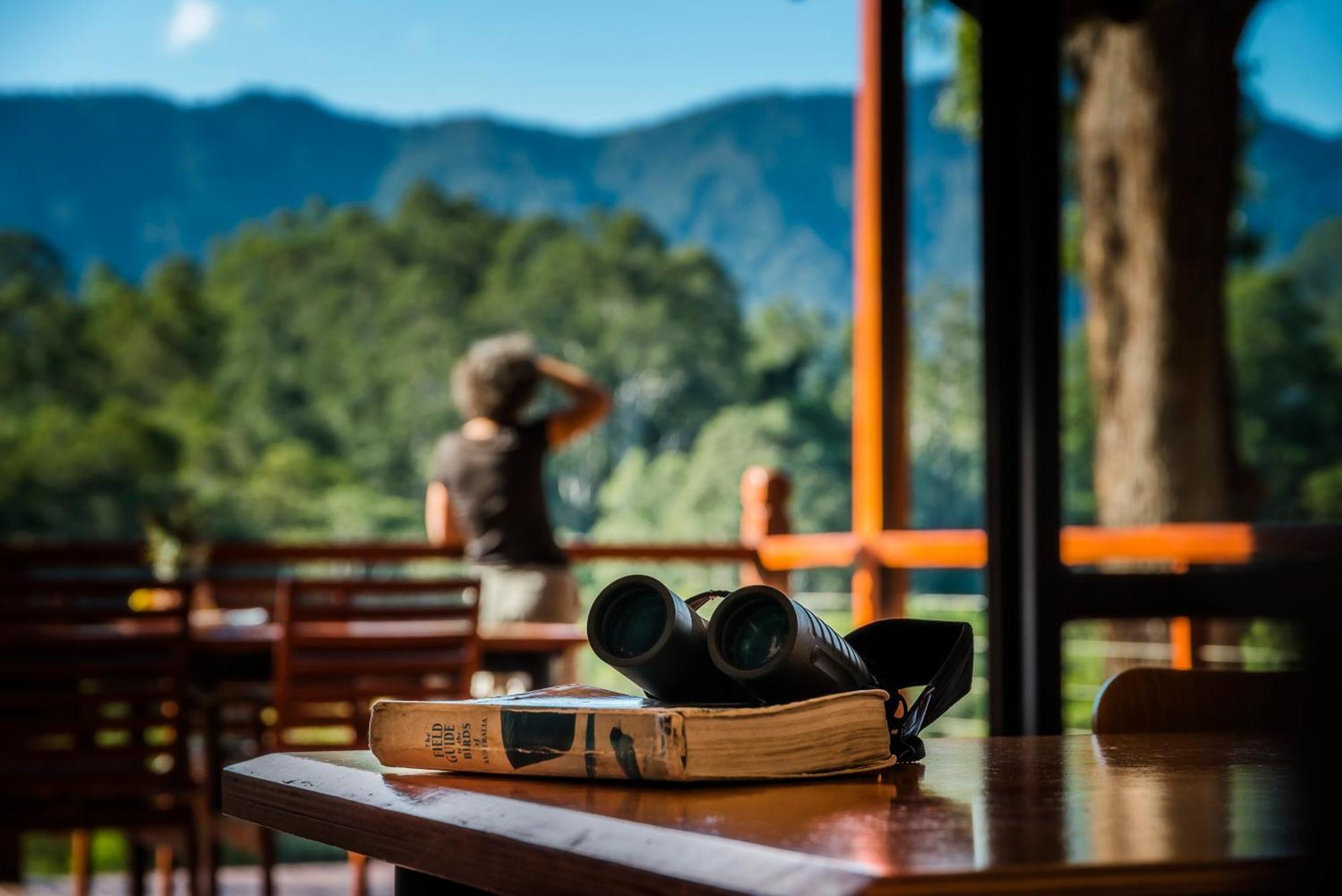 Promised Land Retreat Vila Bellingen Quarto foto